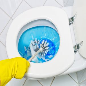 Dirty Toilet Bowl Cleaning Tips | Merry Maids