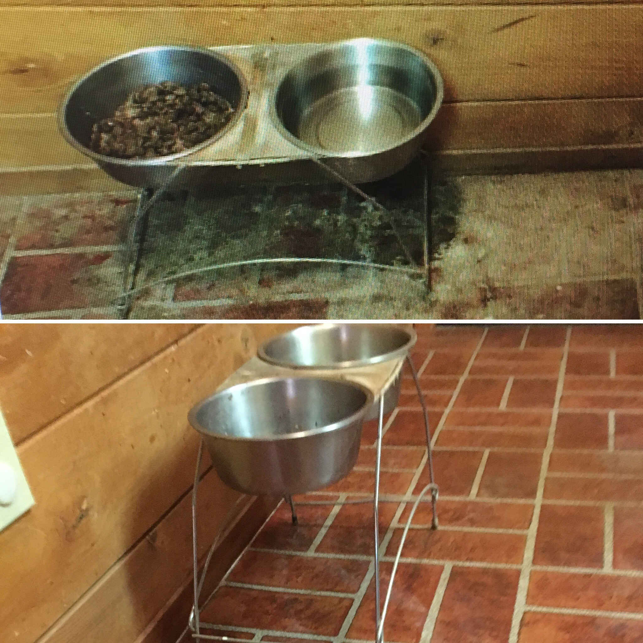 pet food area before and after cleaning