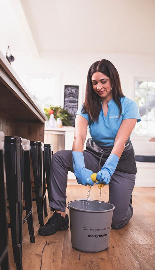 Maid cleaning home