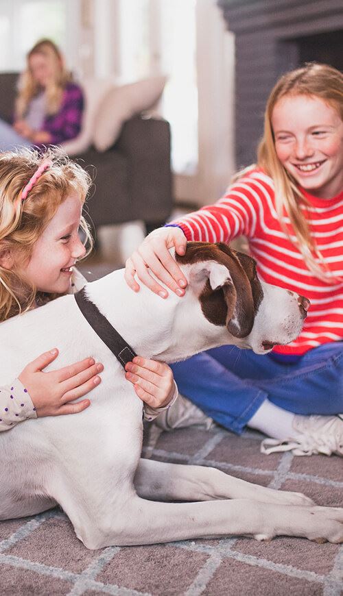 two girls playing in living room with dog